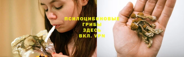 spice Белокуриха
