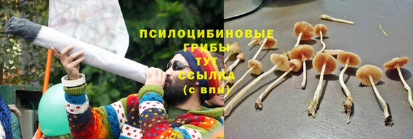 spice Белокуриха