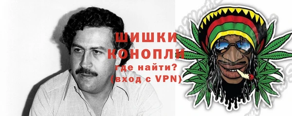 spice Белокуриха