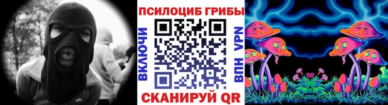 Галлюциногенные грибы GOLDEN TEACHER  omg ссылки  Кандалакша 